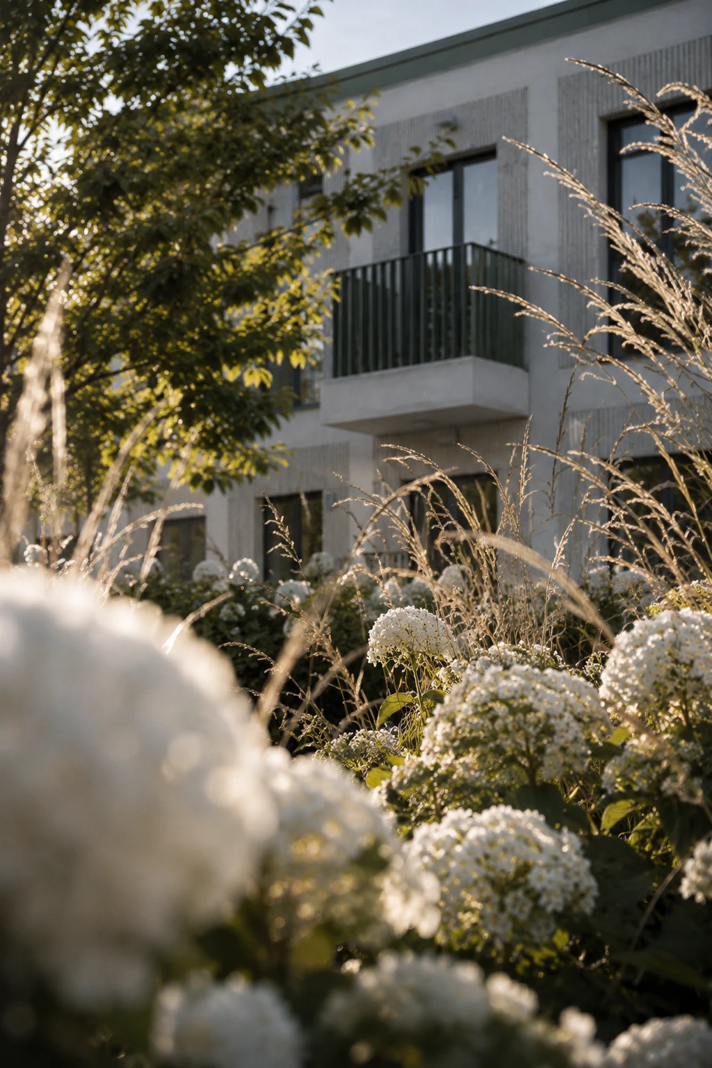 Facade detail behind planting