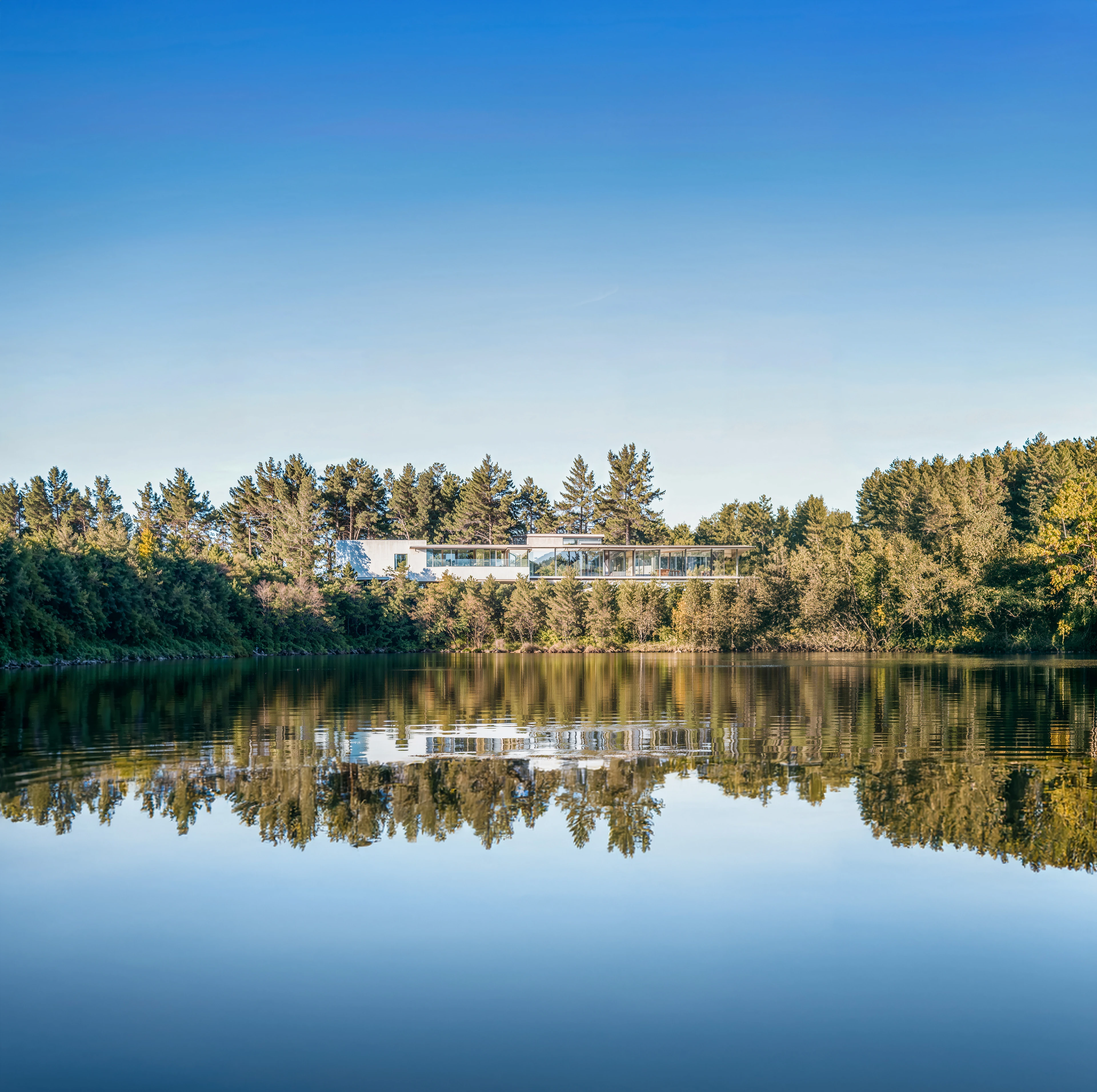 Lakeside Reflections
