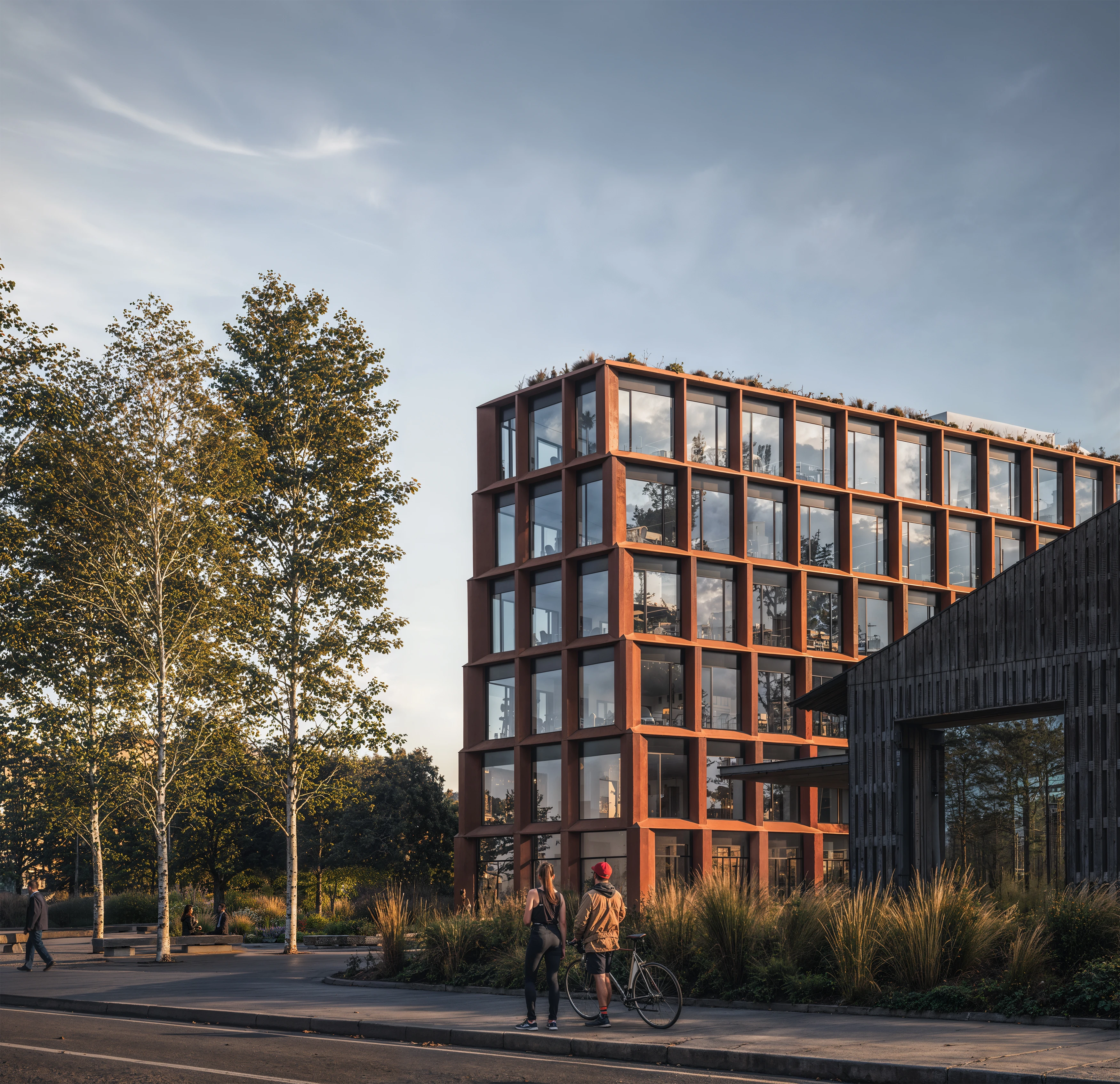 Office building with a terracotta-framed facade among birch trees